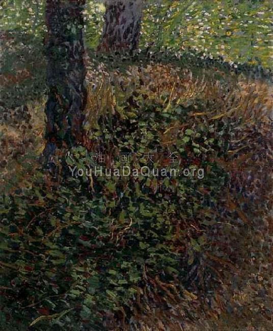 灌木丛 - 文森特·威廉·梵高